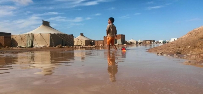 alluvione-saharawi